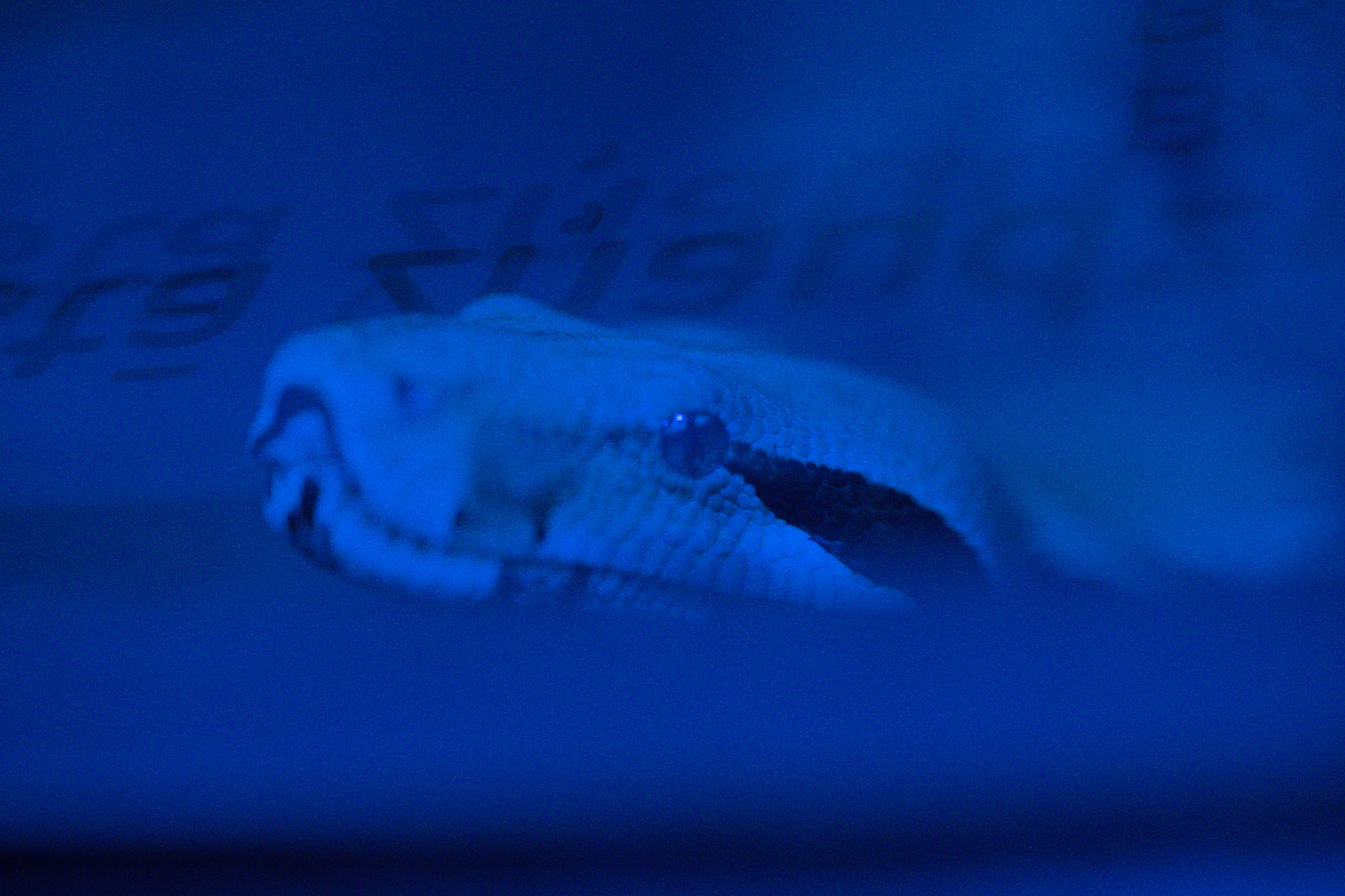 2025/10/12 - zoo/DSC_0253.jpg